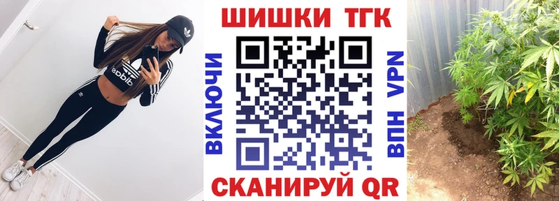hydra ONION  Спас-Деменск  Каннабис сатива 